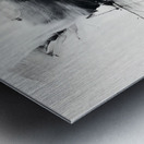 Echoes in Monochrome Metal print