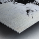 Ephemeral Echoes Metal print