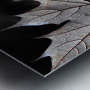 Whispers of Autumn Metal print