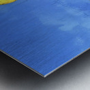 Sun-Kissed Reminiscence Metal print