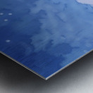 Fields of Reflection Metal print