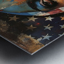 Patriotic Reflection Metal print