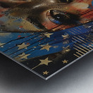 Libertys Gaze Metal print