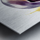 Ascendant Hero Metal print