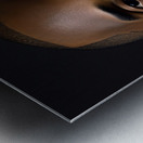 Determined in Black Metal print