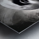 Enduring Spirit Metal print