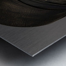 Regal Warrior Metal print