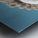 Desert Vanguard Metal print