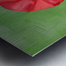 Emerald Grace Metal print