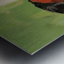 Radiant Elegance Metal print