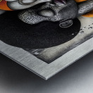 Ancestral Harmony Metal print