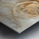 Gilded Devotion Metal print