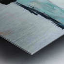 She Walked With Quiet Fire Metal print