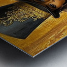 The Baroness of the Bayou Metal print