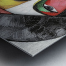 Unmasked Continuum Metal print