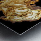 Bloodlines & Boundarie Metal print