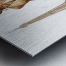 Golden Hour in Gilded Silk Metal print