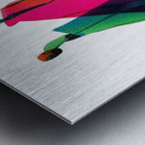 Stride of Color Metal print