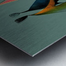 Dance of Balance Metal print