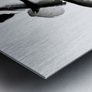 Balance of Grace Metal print