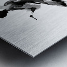 Whirl of Ink Metal print