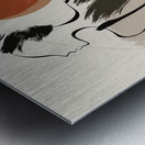 Solar Poise Metal print