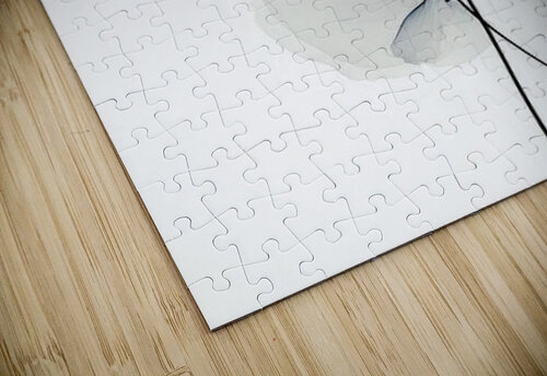 Whispers of Silk Hawse Sumi puzzle