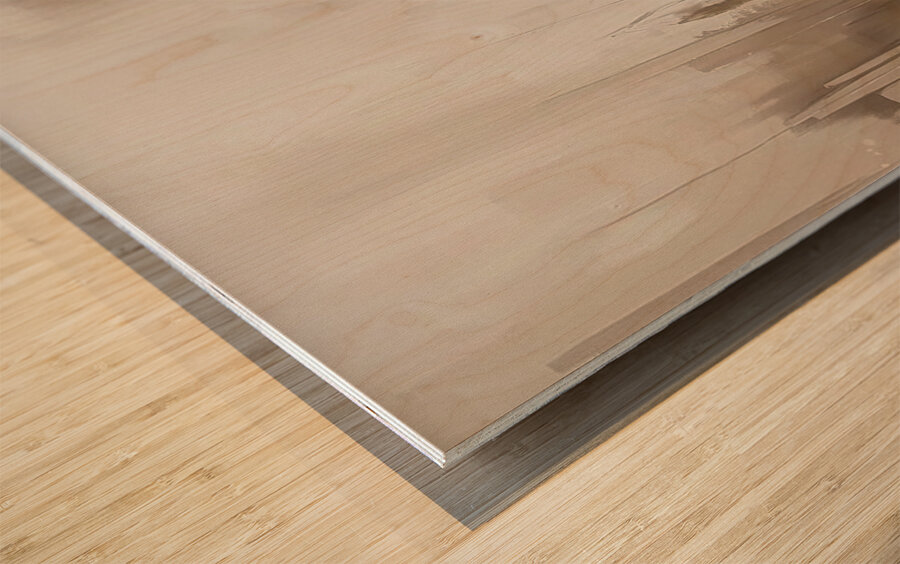 Elegance in the Cityscape Wood print