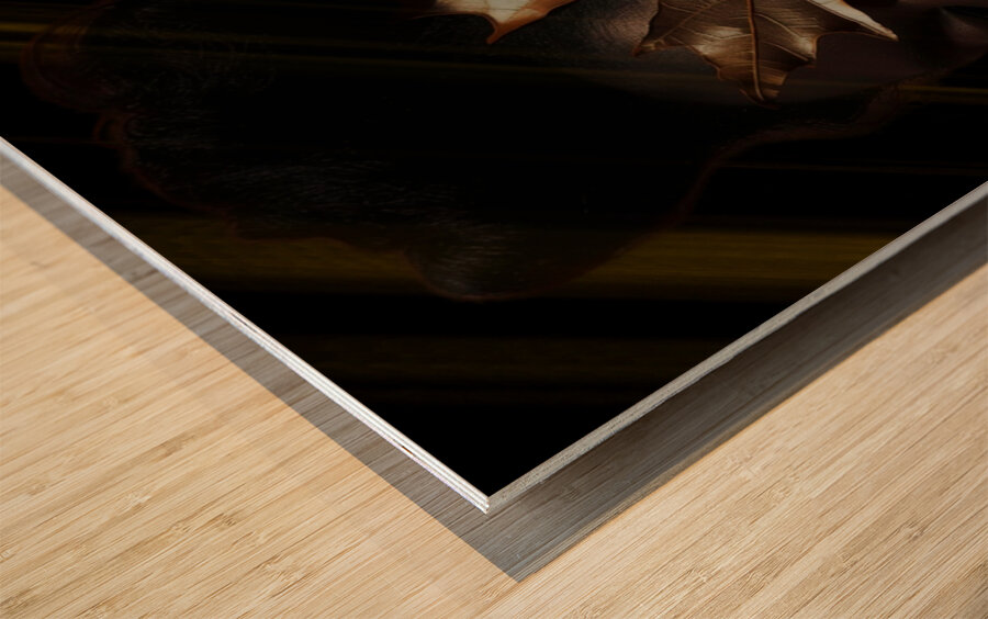 Golden Reflection Wood print