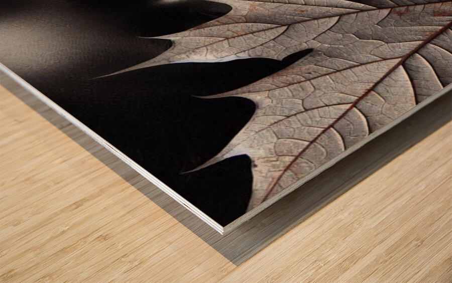 Whispers of Autumn Wood print