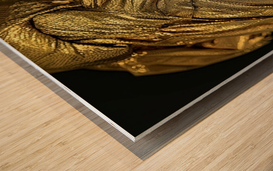 Golden Mystique Wood print