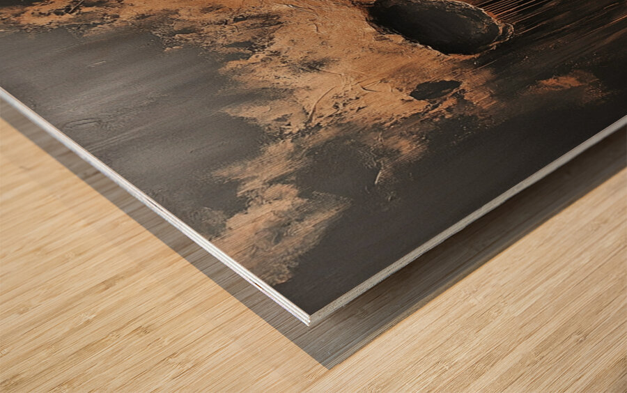 Embers of the Forgotten Wood print