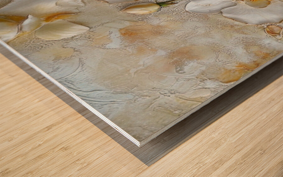 Ivory Symphony Wood print