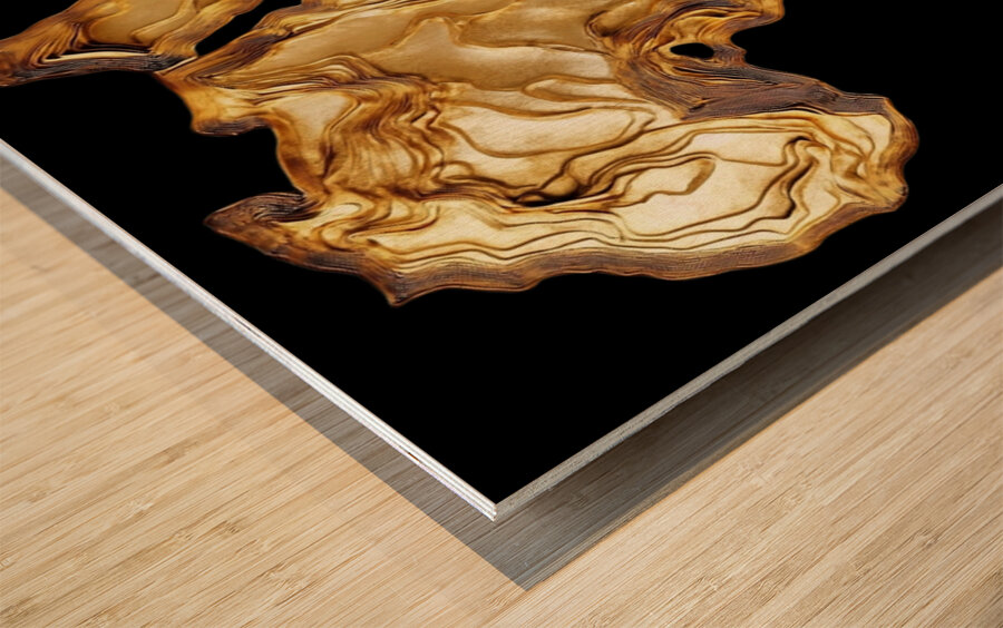 Bloodlines & Boundarie Wood print