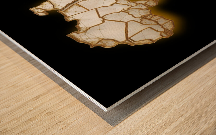 Networked in Light Wood print