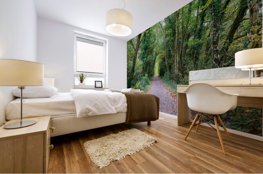 The Forest Path Mural print