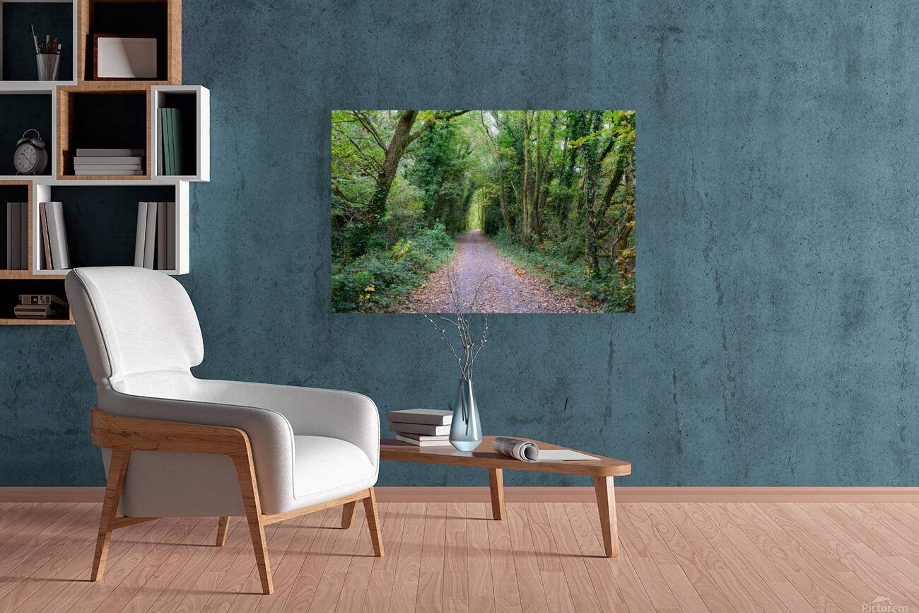 The Forest Path Reproduction