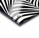 zebra abstract Acrylic print