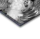 Eagle bnw  Acrylic print