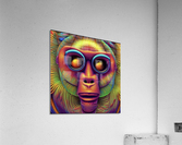 Monkey Dew  Acrylic Print