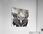 Eagle bnw  Acrylic Print