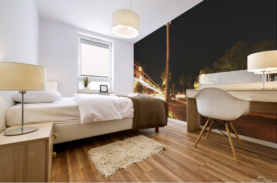 light Trail Mexico  Mural print