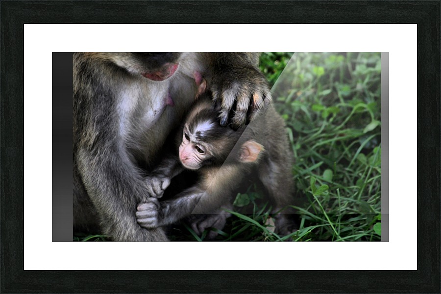 Family time Picture Frame print