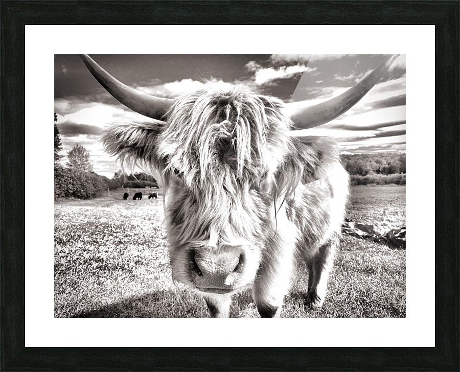 Meuh Picture Frame print