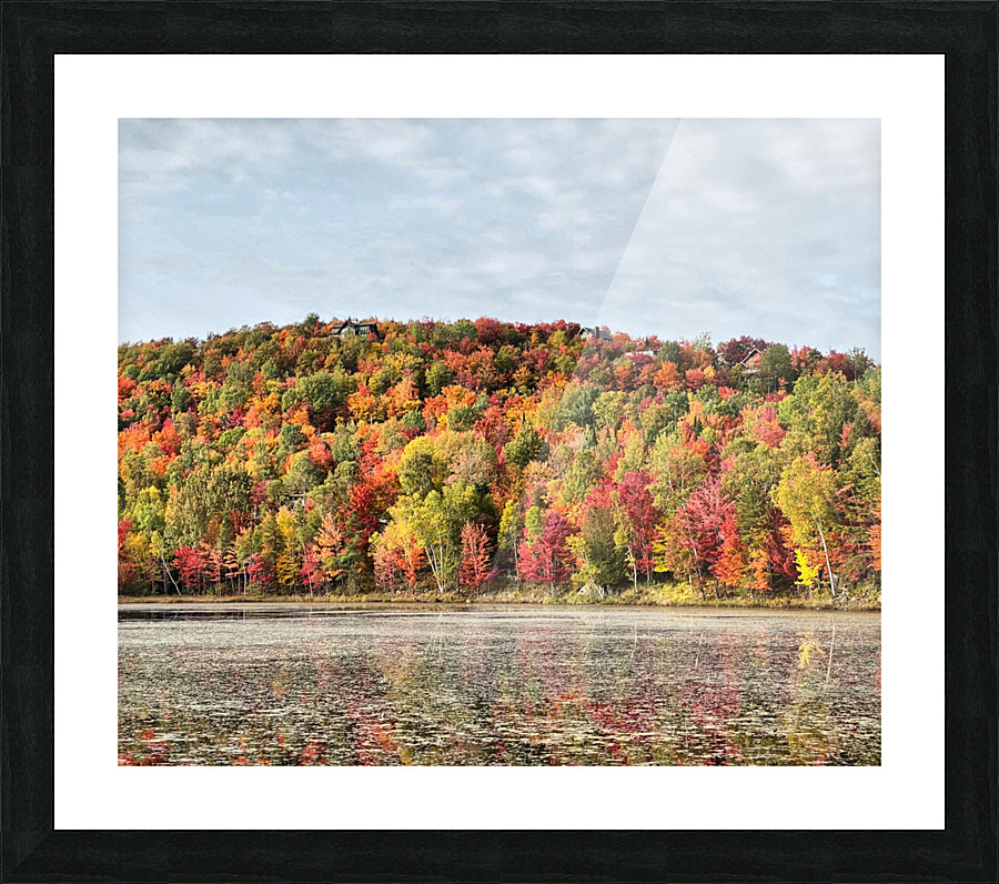 Automne colore  Picture Frame print