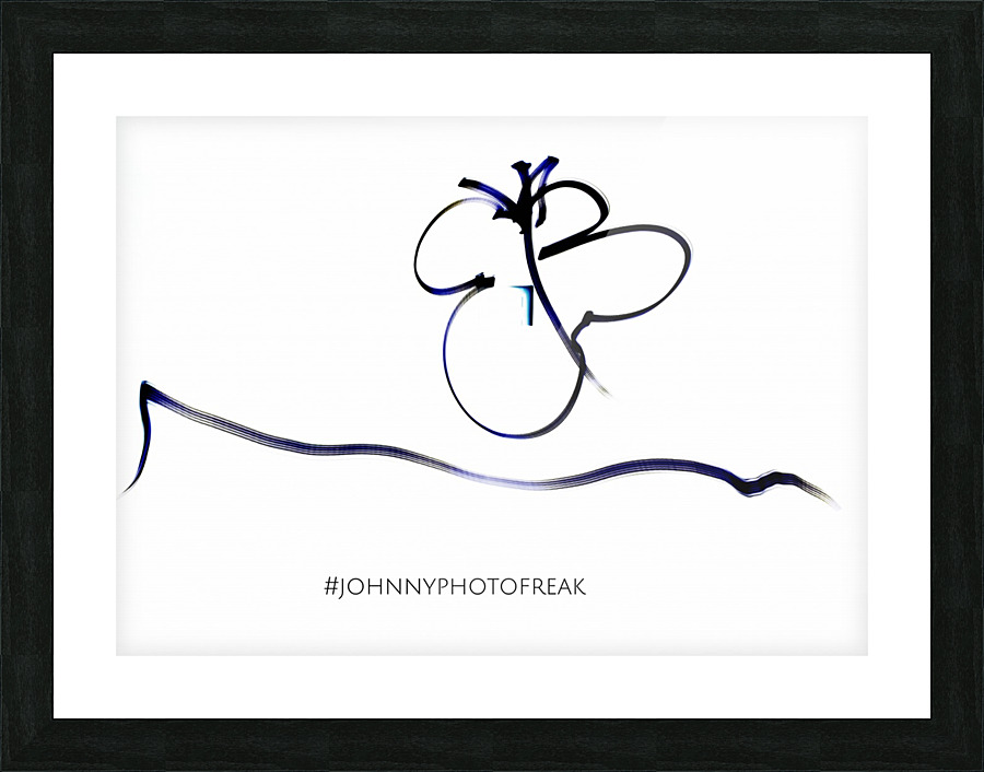 Butterfly Picture Frame print