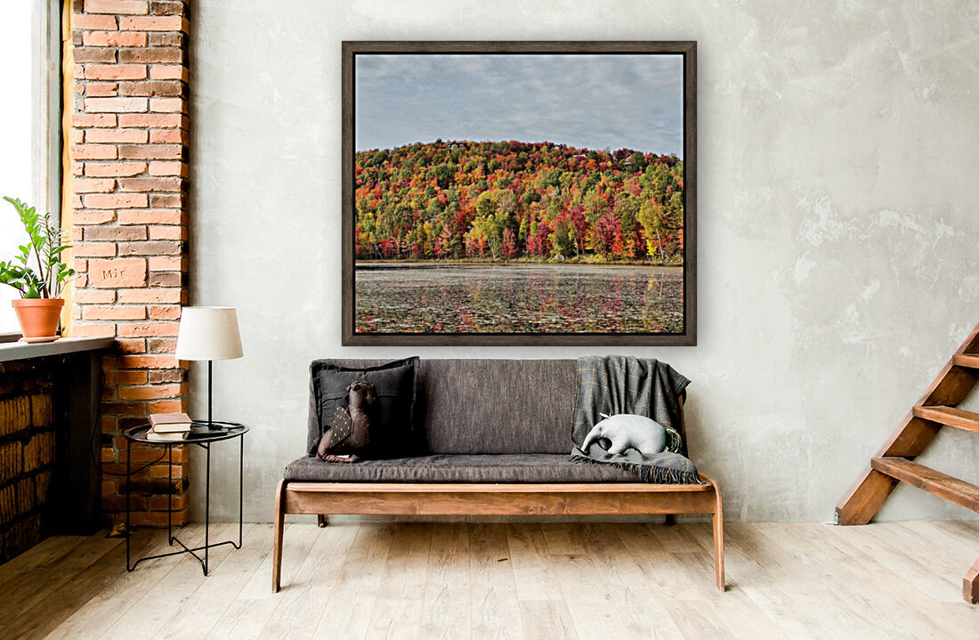 Automne colore  Reproduction