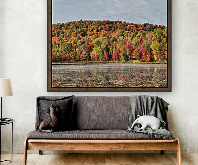 Automne colore  Reproduction