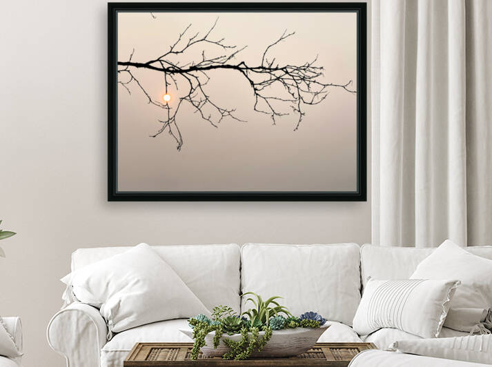 Branche nature morte  by Johnnyphotofreak
