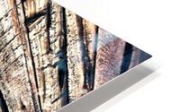 Log wall art  HD Metal print